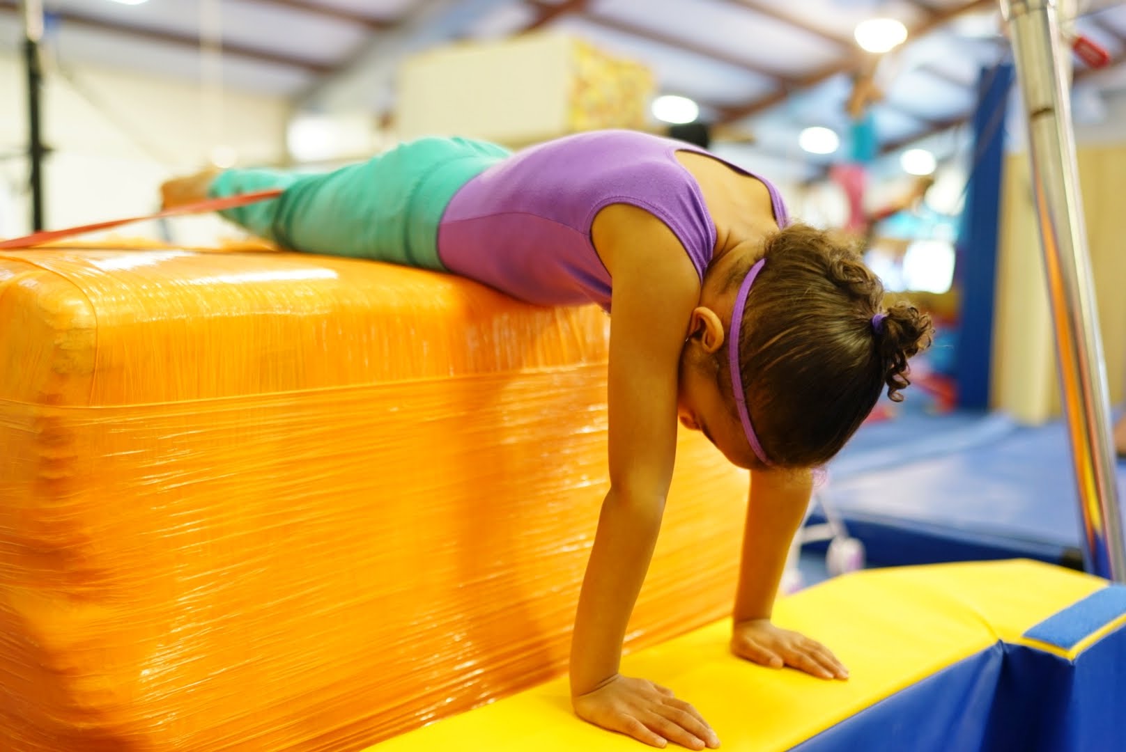 Vault training
